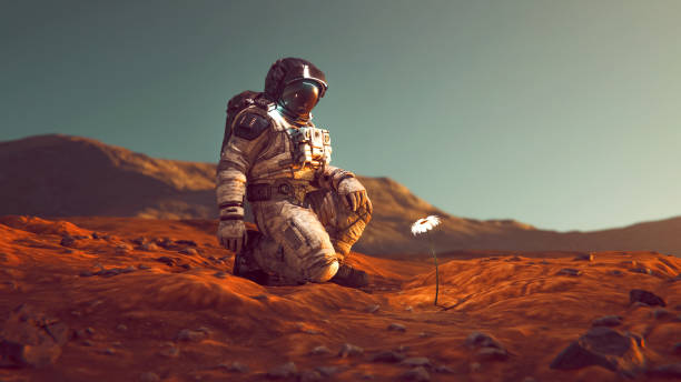 istock Astronaut finds flower on alien planet while on a space mission 1692369654