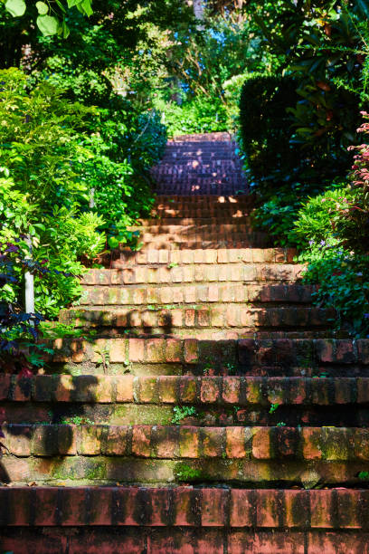 istock Brick steps leading up with nature on either side on bright sunny day 1692373336