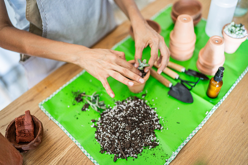 Woman making potted plants at the workshop