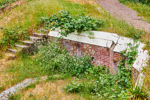 Image of Concrete steps in field with trail and partial and destroyed red brick wall overgrown with flowers