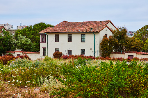 Image of Overgrown area with wildflowers and succulents in front of Fort Mason building