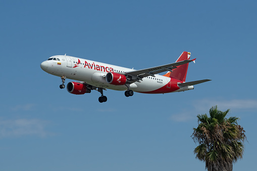 City of Los Angeles, California, United States: Avianca Airbus A320 aircraft with registration N446AV shown on last approach into LAX, Los Angeles International Airport.
