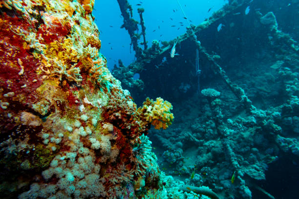 istock Ship wreck in the Red Sea, Yanbu, Saudi Arabia 1692395332