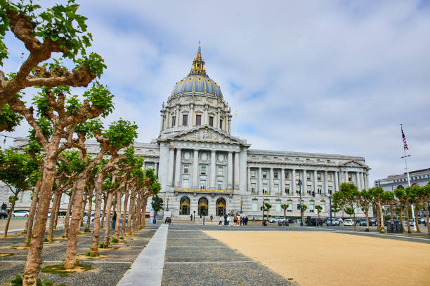 istock Sandy entrance leading to pedestrians in front of city hall with mangled oak trees 1692395997
