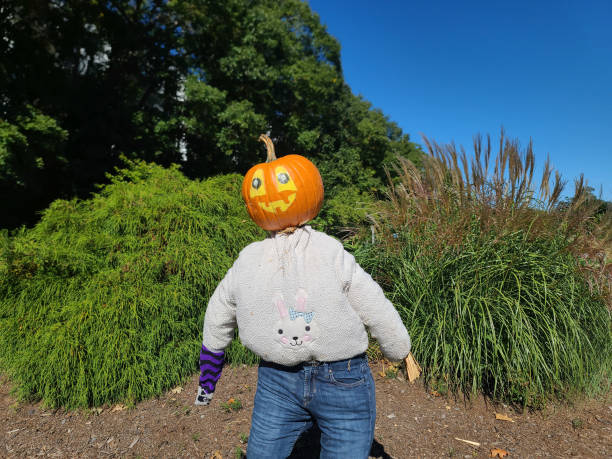 istock Closeup of Pumpkin Person 1692396050