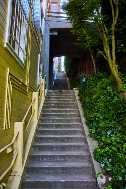 istock Stairs leading up dark passage between a building and nature 1692398491