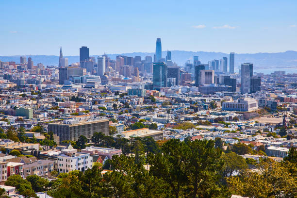 istock Trees at bottom with backdrop of San Francisco downtown skyscrapers and distant bay waters 1692400429