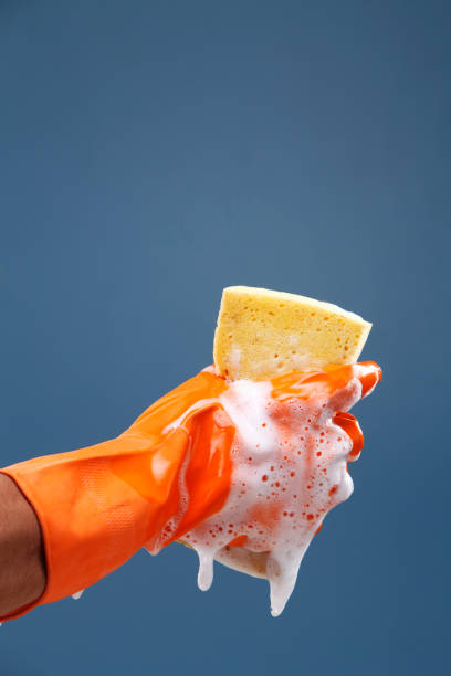 istock hand wearing rubber glove holding cleaning sponge. 1692404567