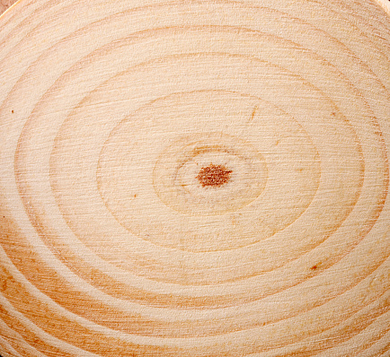 Design concept - top view of circular wood piece with annual ring  full frame