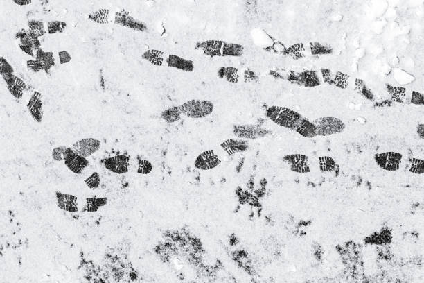 Black footprints over the snow on an asphalt road