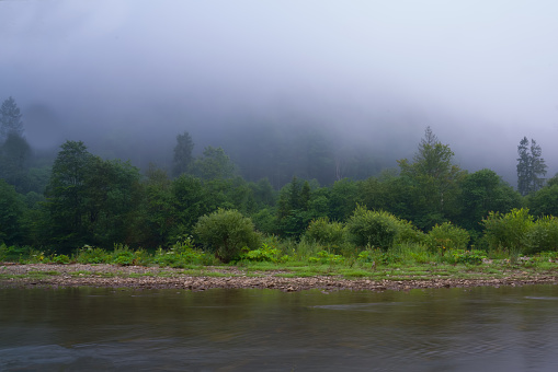 Morning on a mountain river, forest shores and light fog.