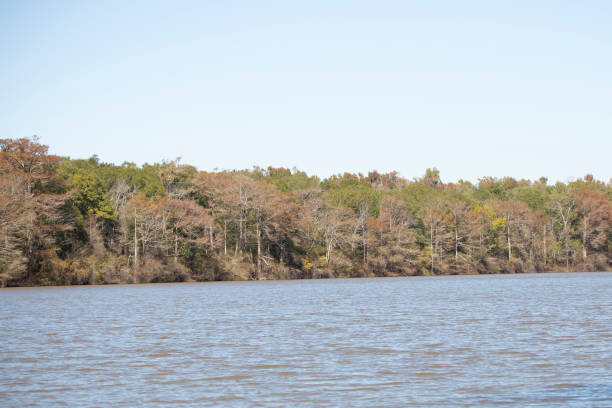 istock Autumn Forest across the Water 1692428599