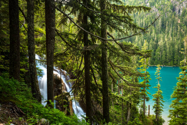 Waterfall on the Howe Sound Crest Trail. Fresh water and environmental themes.