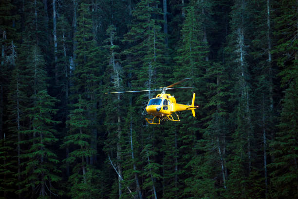 istock Yellow Helicopter flying by a forest 1692447701