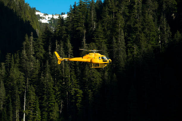 istock Yellow Helicopter flying by a forest 1692447711