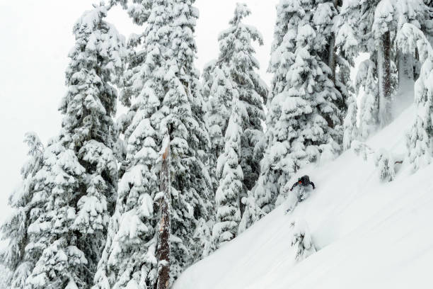 istock Skiing fresh powder in the backcountry 1692448309