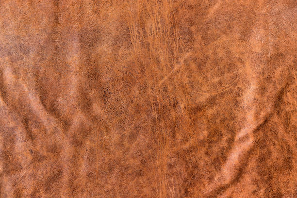 istock vintage brown cracked Italian goatskin leather 1692456093