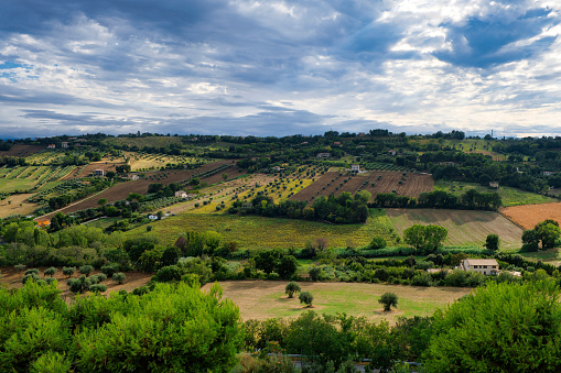 View of the countryside and hills in the Marche region of central Italy during a summer evening