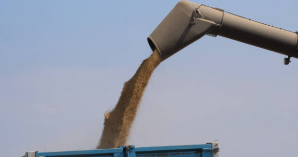 istock Combine harvester near Basly in Normandy 1692465696