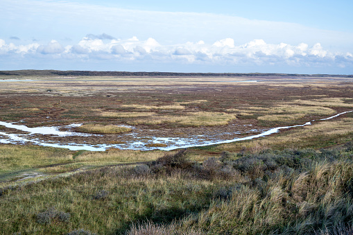 The Slufter in the Dunes of Texel National Park in the Netherlands