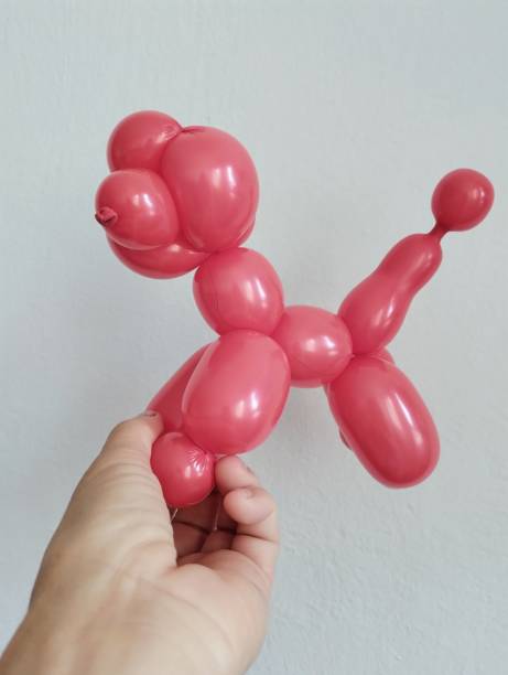 ballons de chien - balloon twisted shape animal photos et images de collection