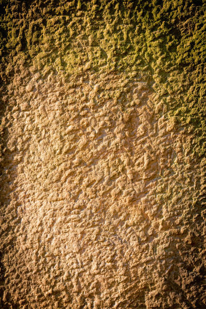 istock Close up fragment of an ancient wall. Architectural background texture. Vertical image. Copy space for design. 1692493301
