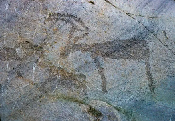 Photo of Mesmerizing prehistoric rcok carvings and red ochre paintings Alta, Troms og Finnmark county, Norway.