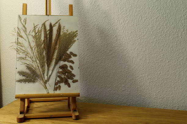 Herbarium on an easel with dried decorative grasses.