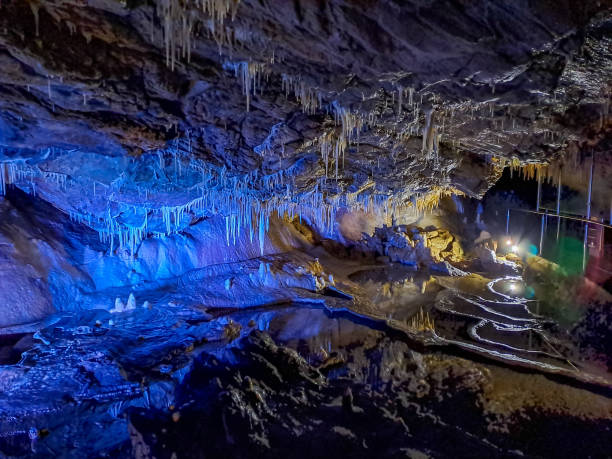 sudeten 산맥에 있는 곰 동굴의 종유석과 석순. 폴란드 - postojna 뉴스 사진 이미지