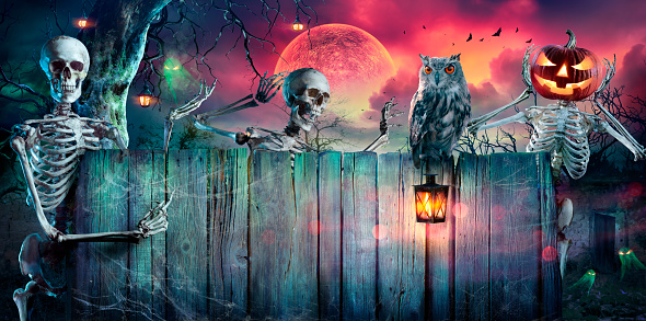 Halloween Party - Skeletons And Owl On Wooden Placard In Spooky Night At Moonlight - Contain Moon 3D Rendering