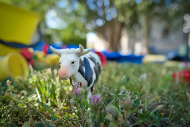 Toy cow grazing in garden
