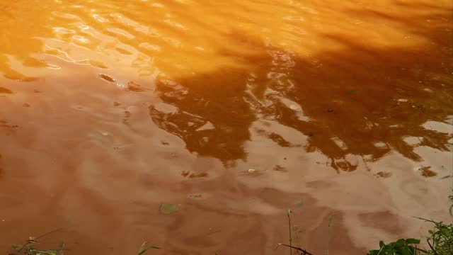 Video, Surface of orange yellow water