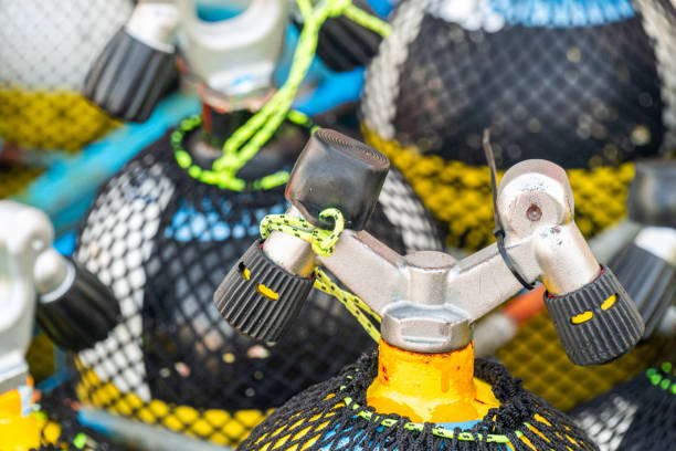 Scuba tanks, also known as diving cylinders, are the lifeline of any scuba diver — compact, pressurized vessels that carry the air you breathe while exploring the underwater world