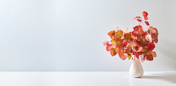 Home interior with decor elements. Colorful autumn leaves in a vase on a light background
