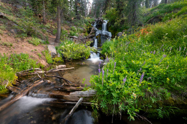 Hat Creek Waterfall stock photo