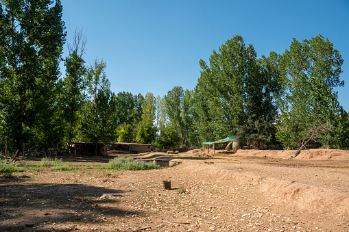 Animal farm in Valbona Teruel Aragon Spain