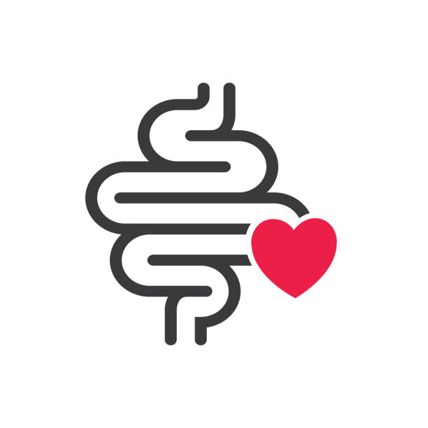 Intestine with heart. Healthy internal organ, digestive tract symbol. Intestine with heart. Healthy internal organ, digestive tract symbol. human intestine stock illustrations