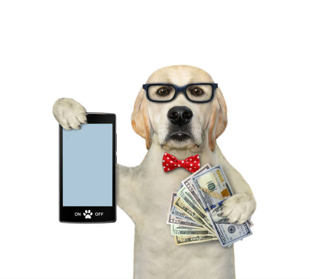 istock Dog labrador with smartphone and dollars 1692601803