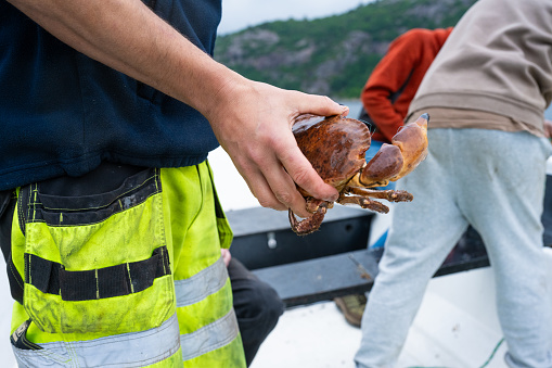 Hand holding a crab in a boat at sea.