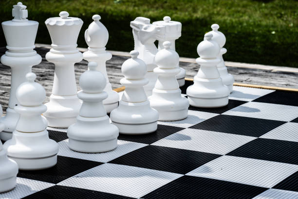 istock Pieces of a large garden chess set.. 1692609113
