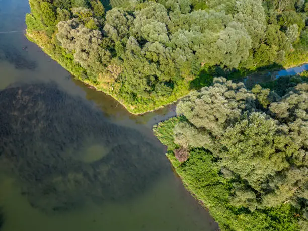 Krasice, Subcarpathian, Poland - 21 August 2023: Aerial view of the mouth of the stream to the San riverbed in Krasice, Przemyskie Foothills, Poland