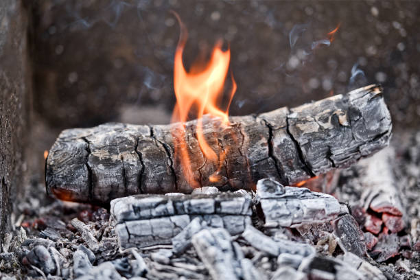 istock Burning wood and smoldering coals in bonfire close-up. 1692613784