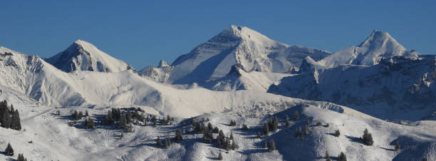 catene montuose dell'oberland bernese in inverno. altels, balmhorn e altre alte montagne in inverno. - bernese oberland gstaad winter snow foto e immagini stock