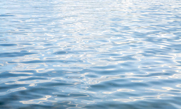 istock Abstract background, water surface with ripples. The texture of the water. 1692622475