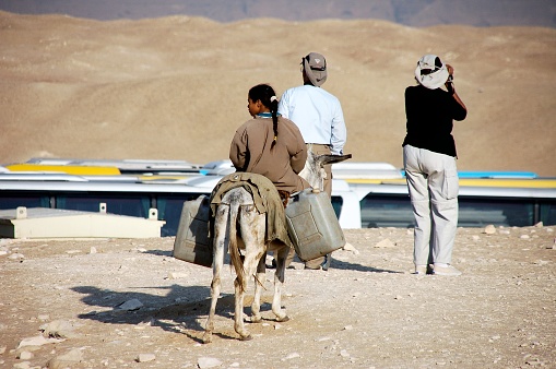 Giza,Egypt - December 2,2007 : An Egyptian girl on her donkey with two jerry cans behind a tourist couple scanning the horizon