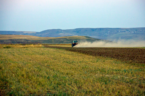 Unidentified Turkish people with a small tractor in kırşehir turkey. They are harvesting the green lentil on field in summer time.