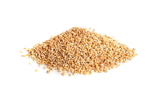 istock Wheat Grains, Barley Pile, Dry Cereal Seeds, Wheat Grains Heap on White 1692636015