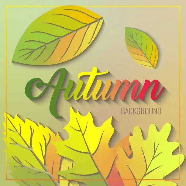 Vector illustration of Green, yellow, orange autumn leaves, vector background. Autumn leaf pack. Realistic  fall leaves with shadow. Maple leaf for decorate promotion banner and printing design. Vector illustration.
