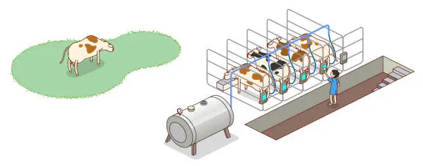 Vector illustration of milk production