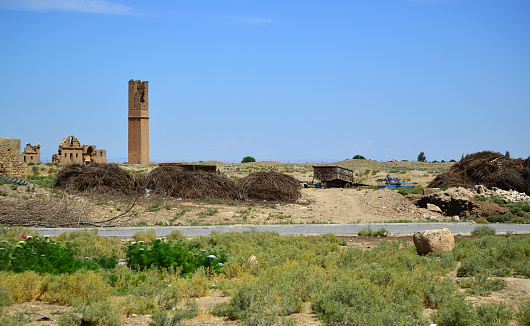 A view from Turkey's historical city of Harran